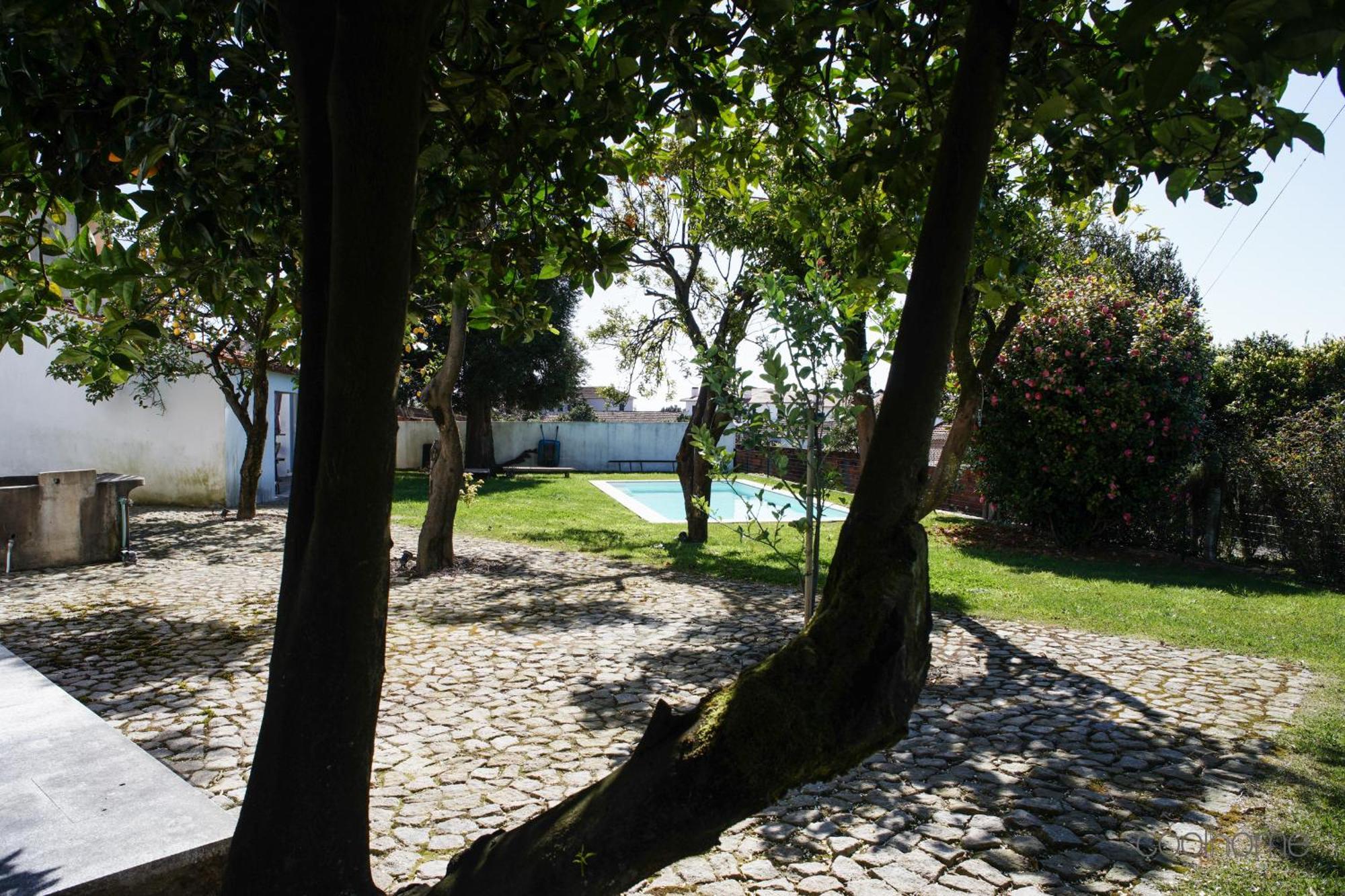 12 Casa D'Avo Villa Albergaria-a-Velha Kültér fotó