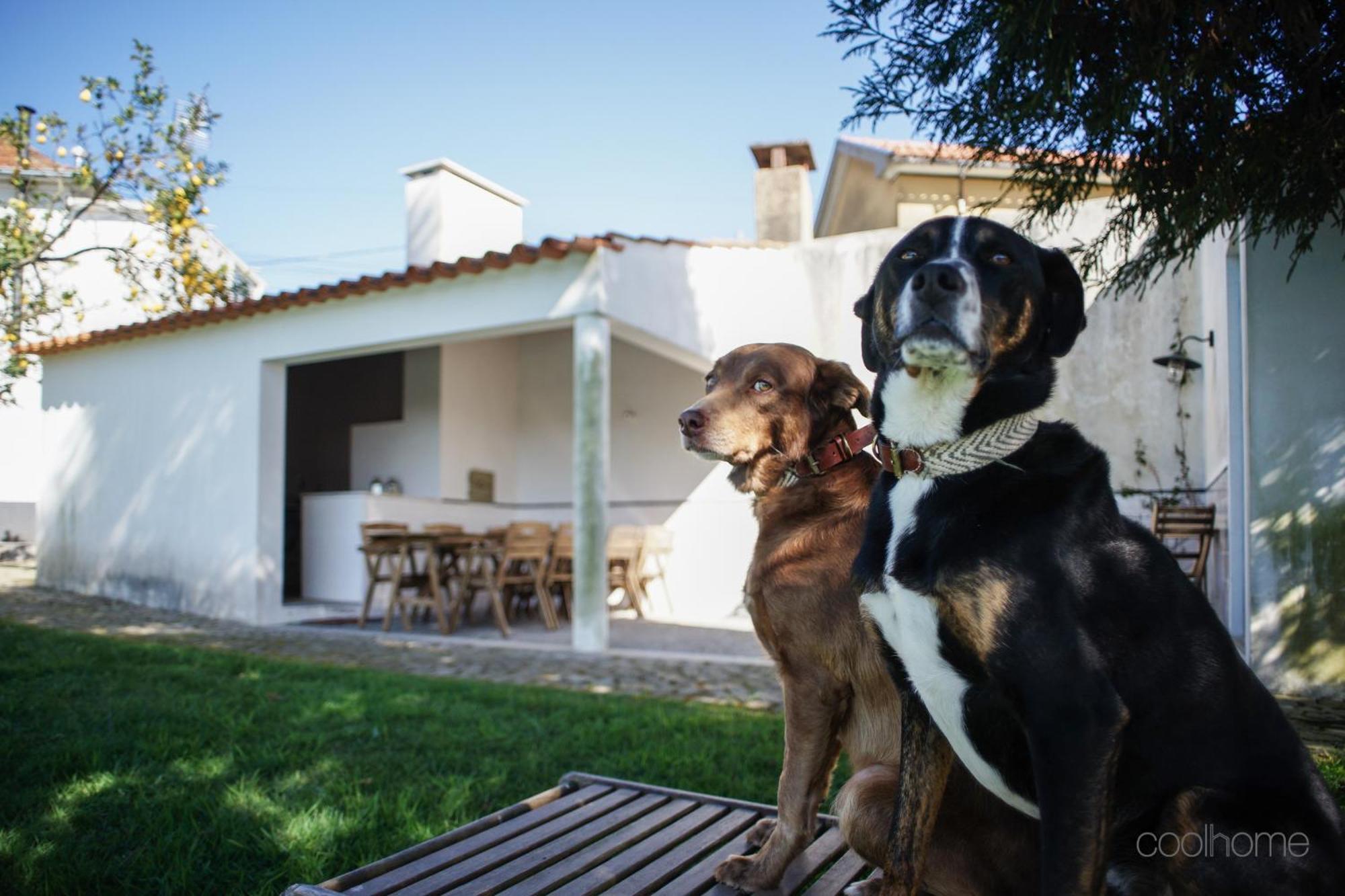 12 Casa D'Avo Villa Albergaria-a-Velha Kültér fotó